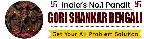 Astrologer Pandit Gori Shankar Bengali Ji